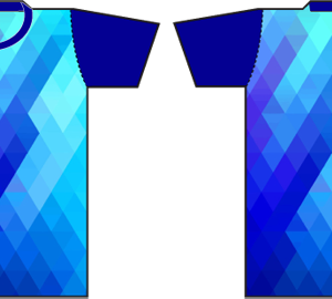 Camiseta Nº 17